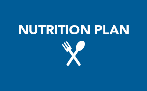 nutrition-plan-pdf