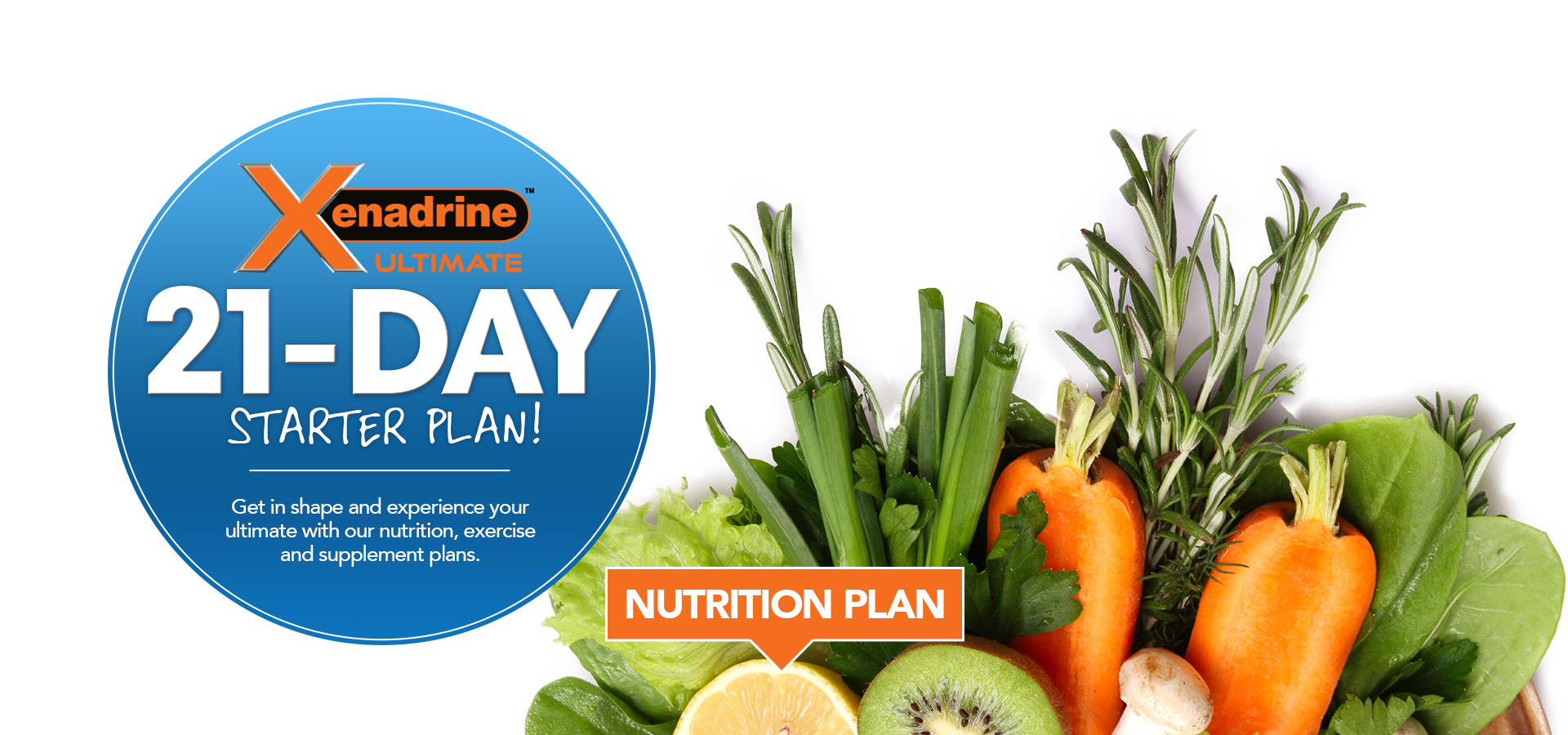nutrition-plan-feature